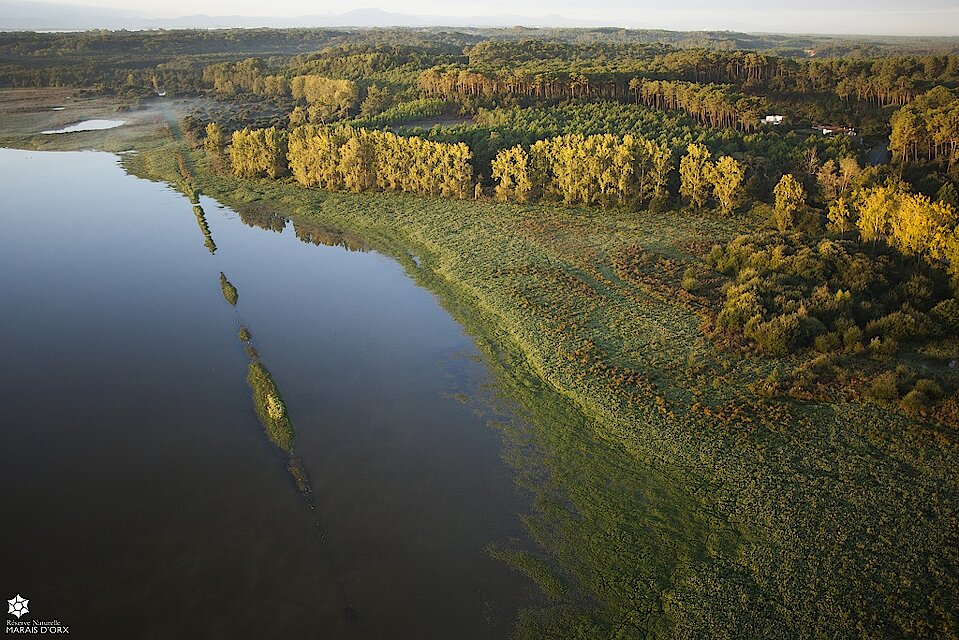 Marais d'orx