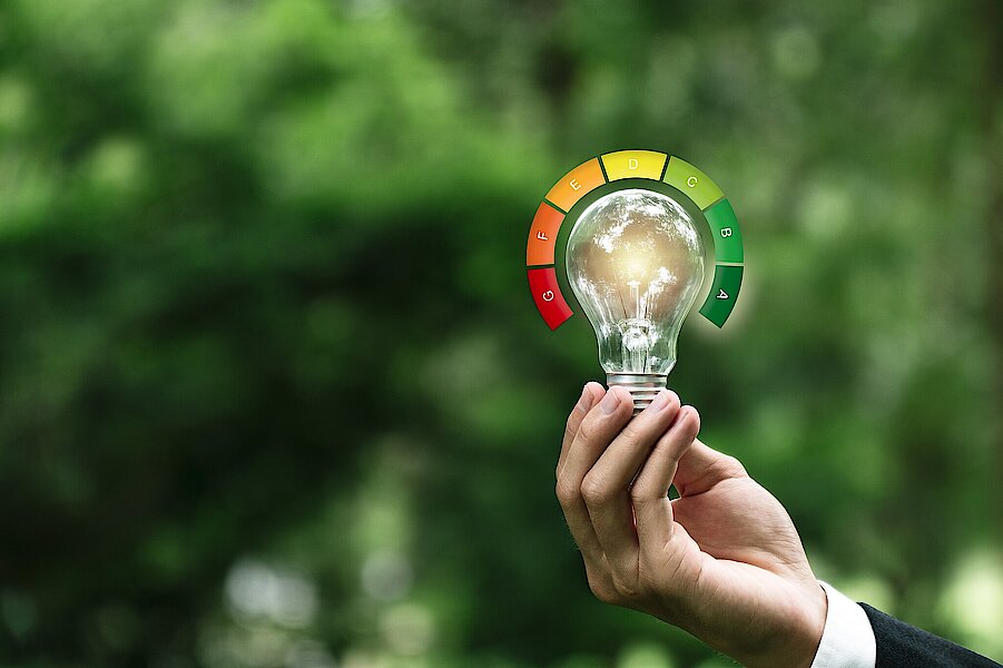 Hand,Hold,Light,Bulb,With,Energy,Efficient,Rating.,Energy,Saving