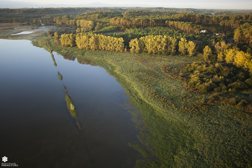 Marais d'orx